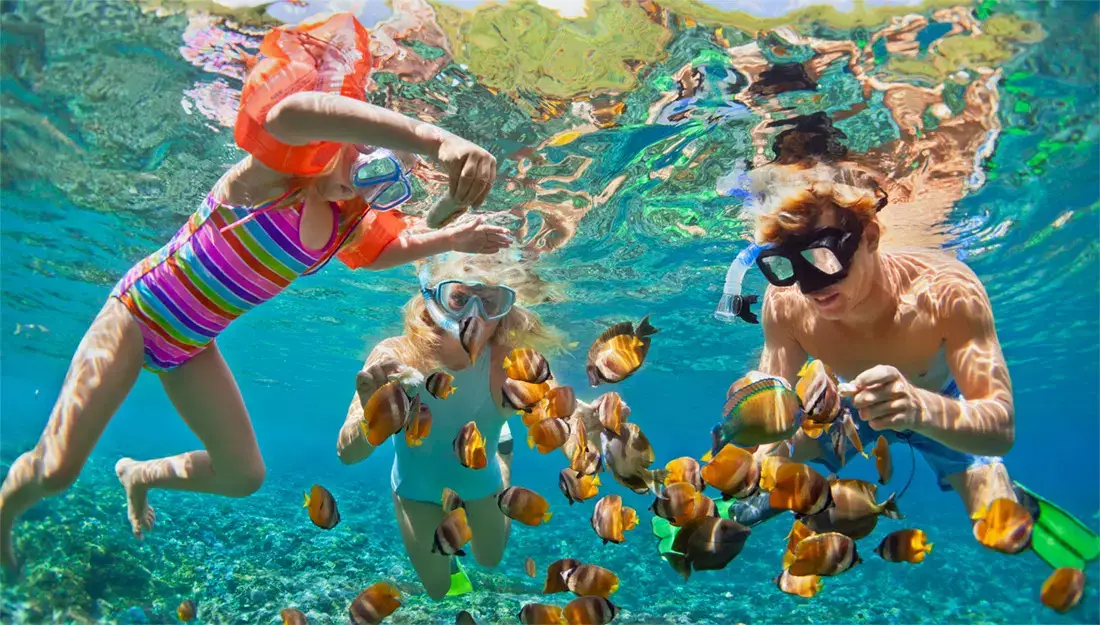 Snorkeling in St. Vincent & The Grenadines - Where to travel in may - Planet Travel Advisor Snorkeling in St. Vincent & The Grenadines - Where to travel in may - Planet Travel Advisor