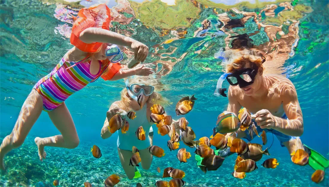 Snorkeling in St. Vincent & The Grenadines - Where to travel in may - Planet Travel Advisor