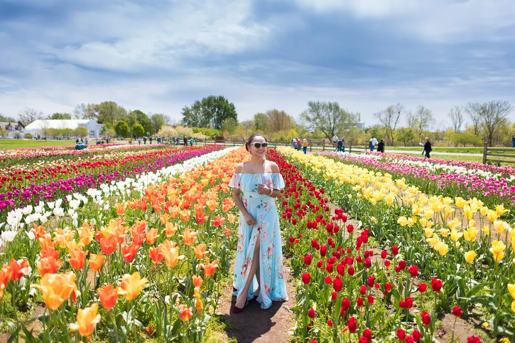 Tulip Time Festival in Michigan - Where to travel in may - Planet Travel Advisor