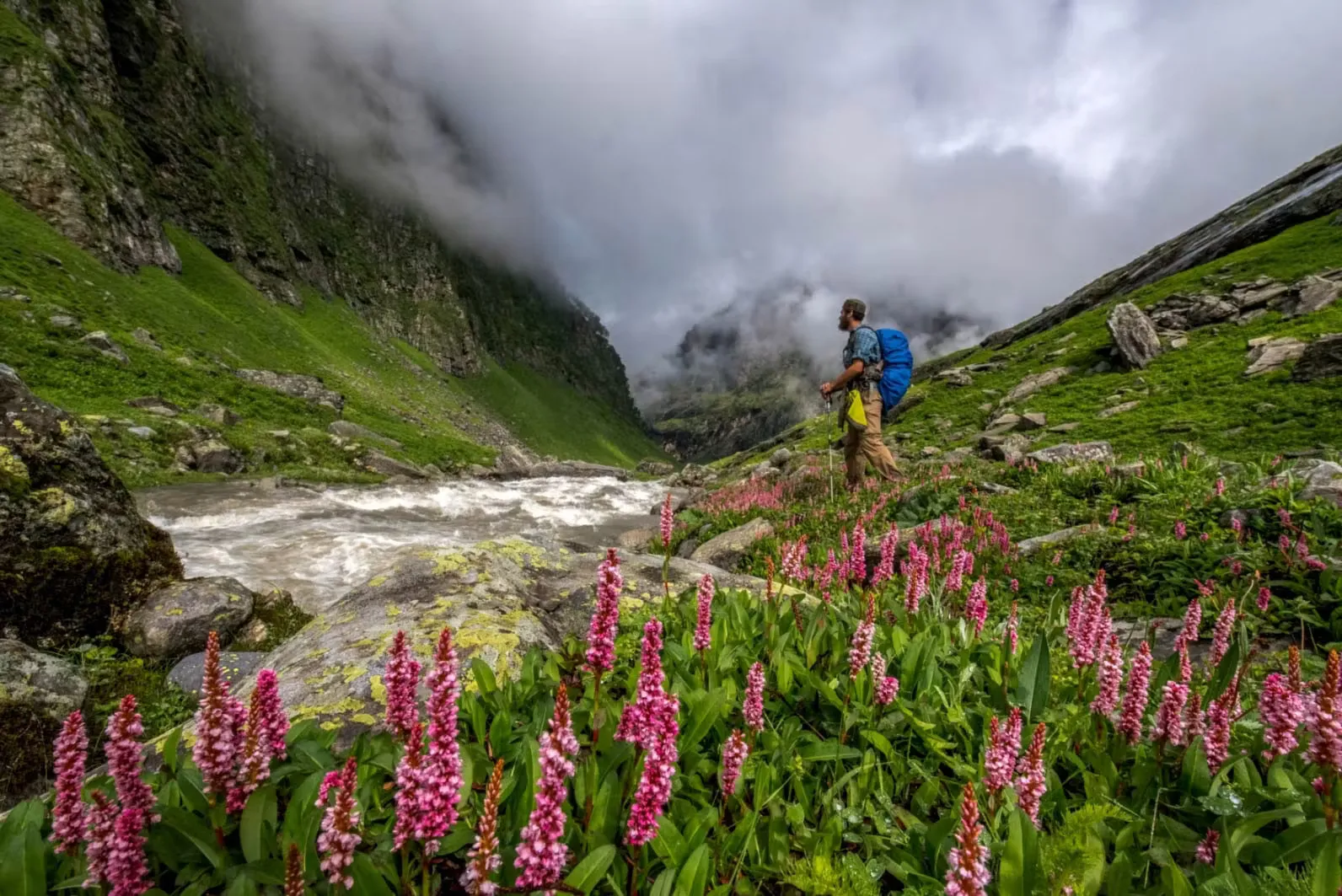 Valley of Flowers National Park - Where to Travel in August - Planet Travel Advisor