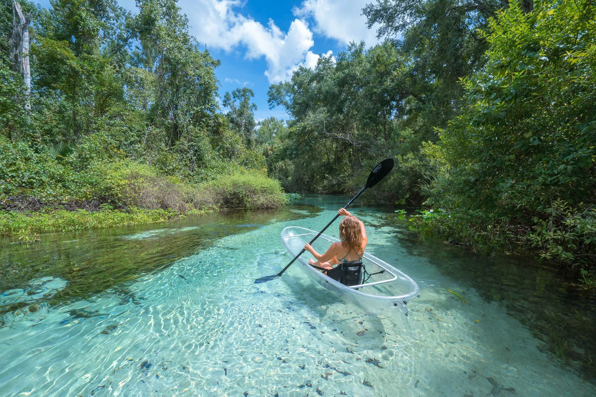 Wekiwa Springs State Park - Where to travel in may - Planet Travel Advisor