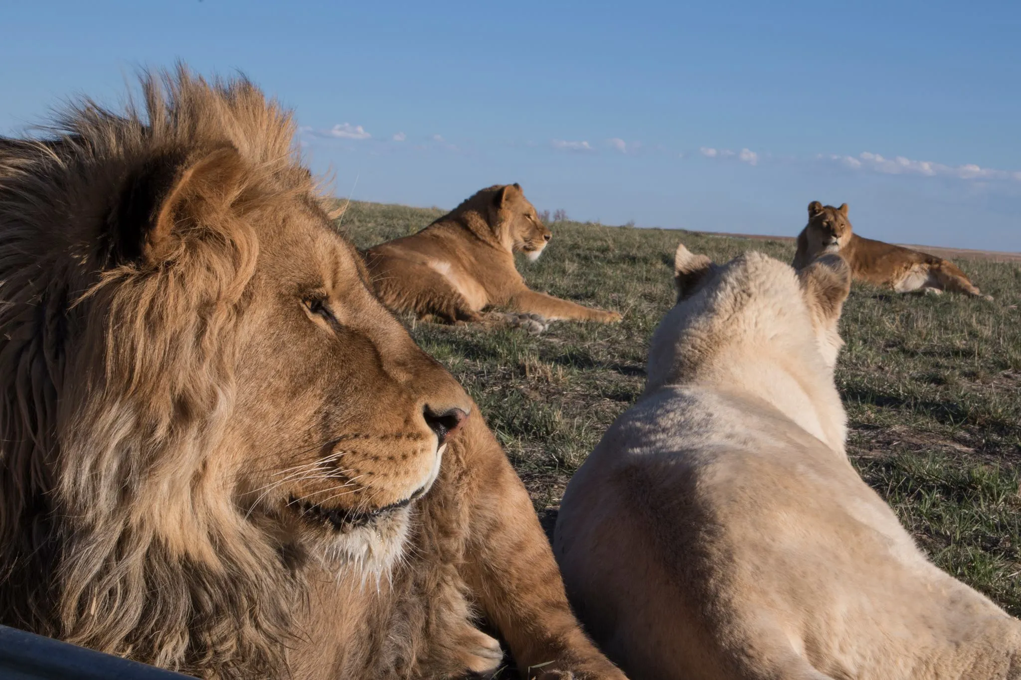Wildlife - Where to Travel in July - Planet Travel Advisor