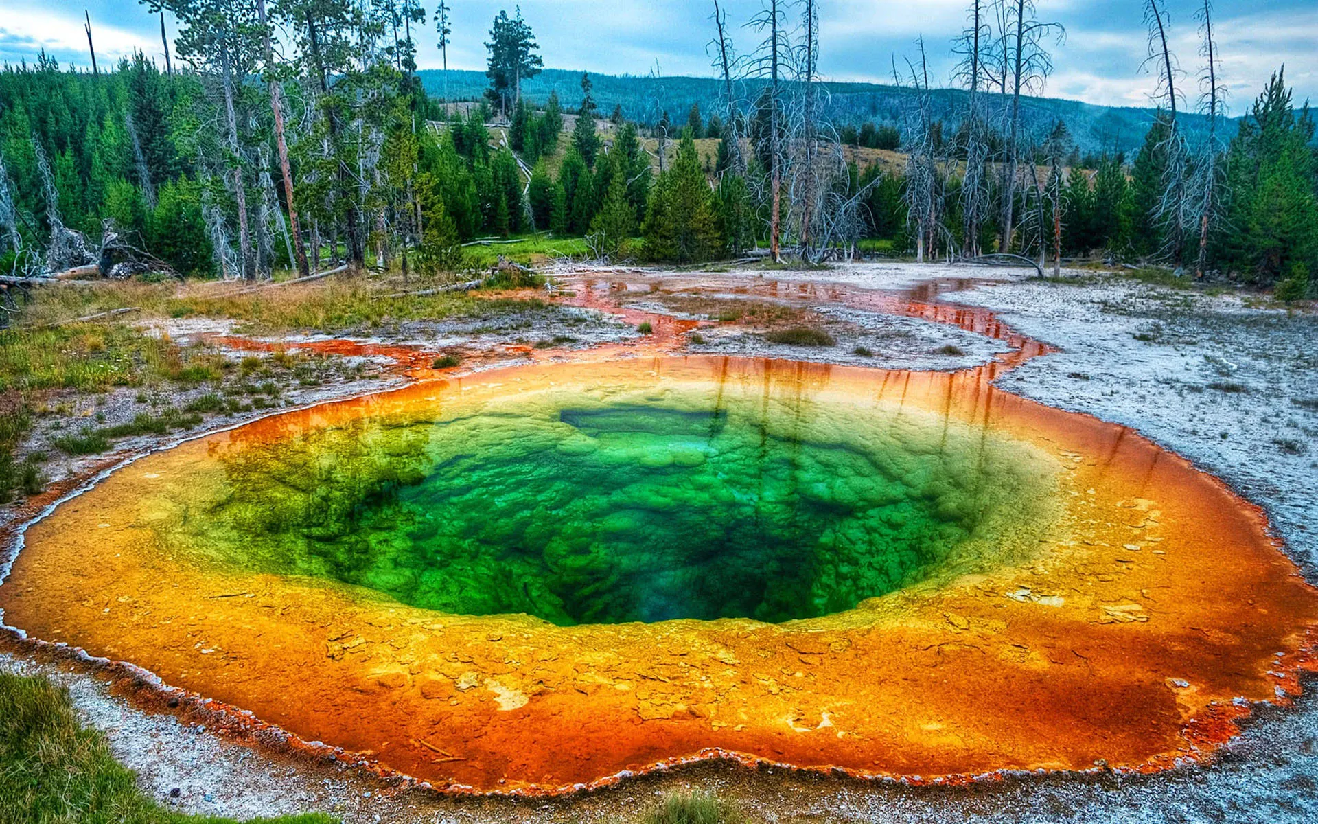 Yellowstone National Park, USA - Where to Travel in August - Planet Travel Advisor