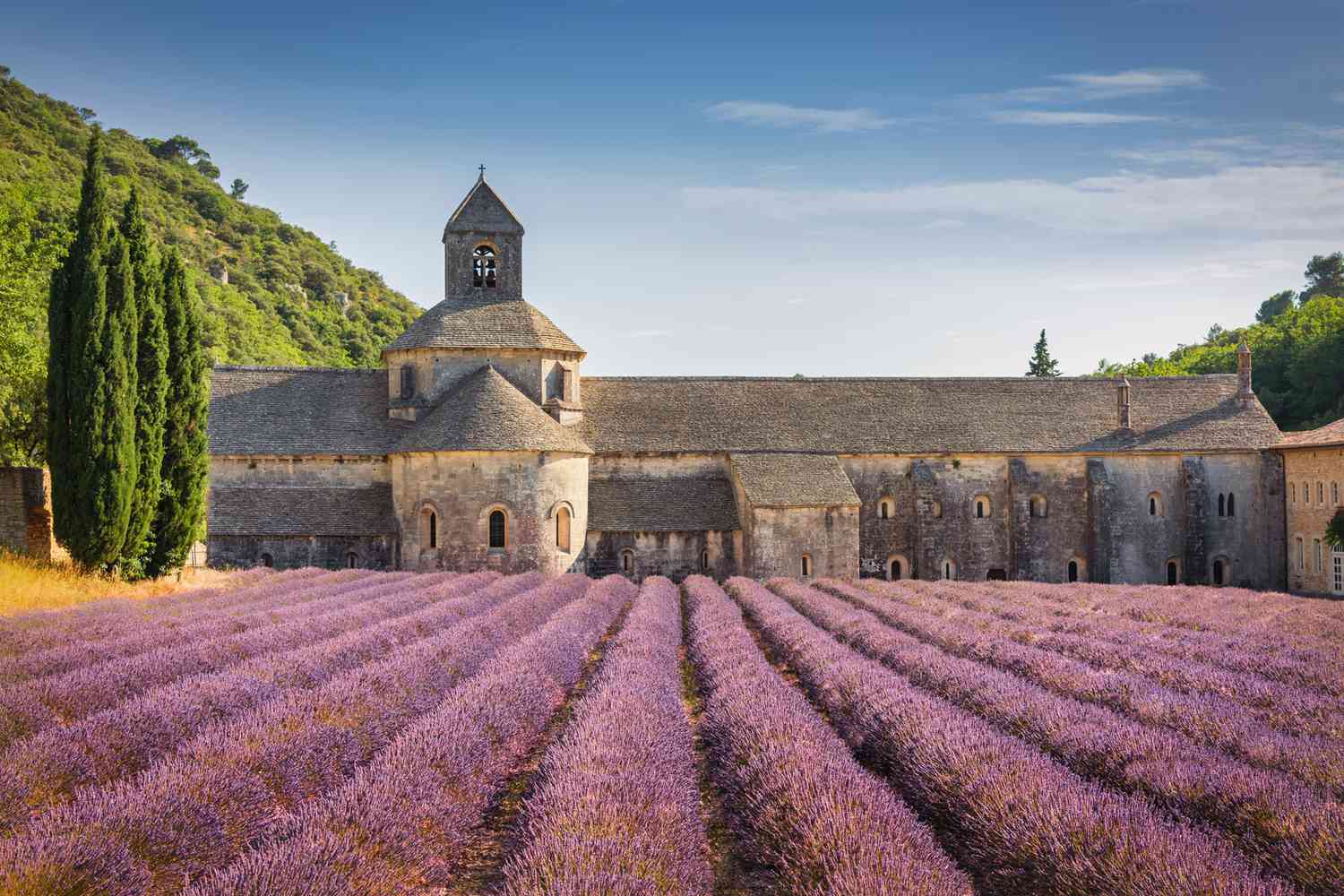 Abbaye Notre-Dame de Sénanque - France Visa Requirements - Planet Travel Advisor