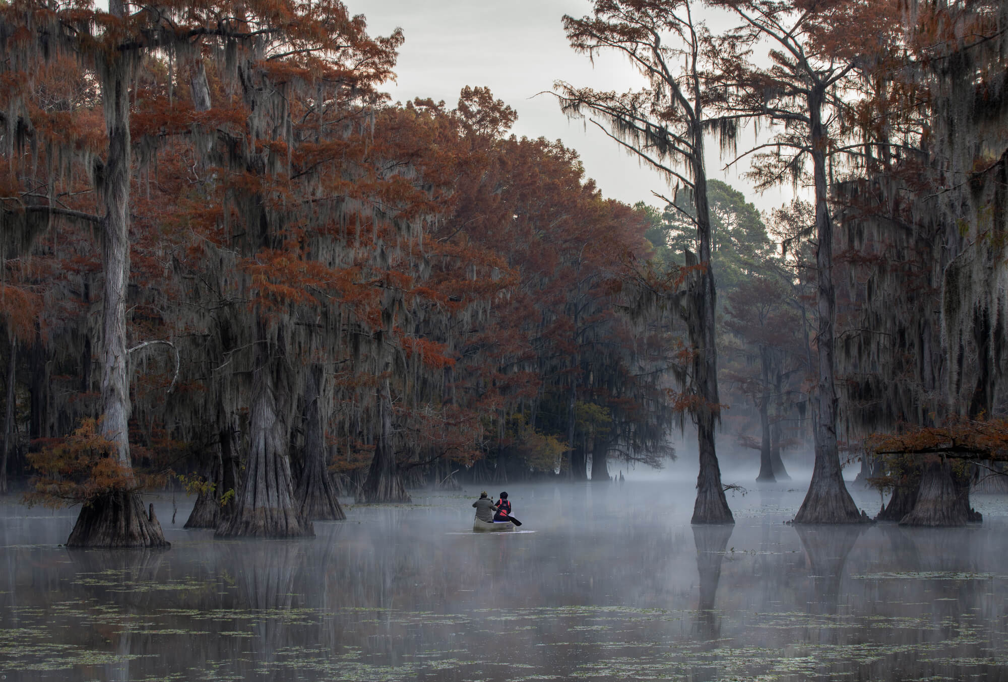 Caddo lake - Best Lakes in Texas - Planet Travel Advisor Caddo lake - Best Lakes in Texas - Planet Travel Advisor