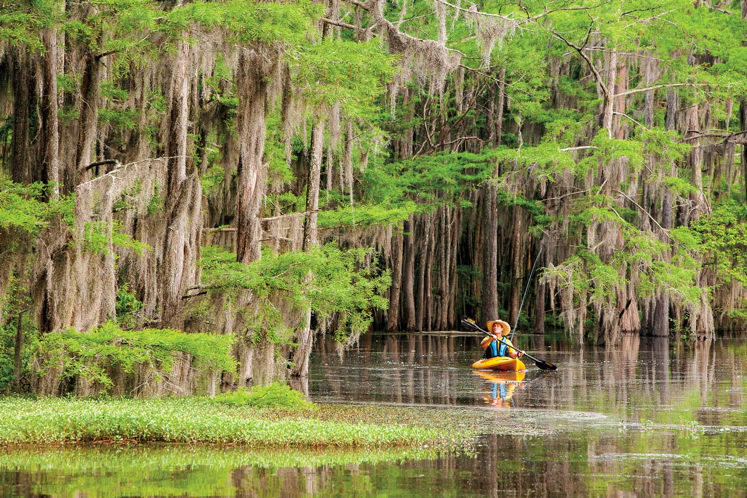 Caddo lake - Best Lakes in Texas - Planet Travel Advisor Caddo lake - Best Lakes in Texas - Planet Travel Advisor