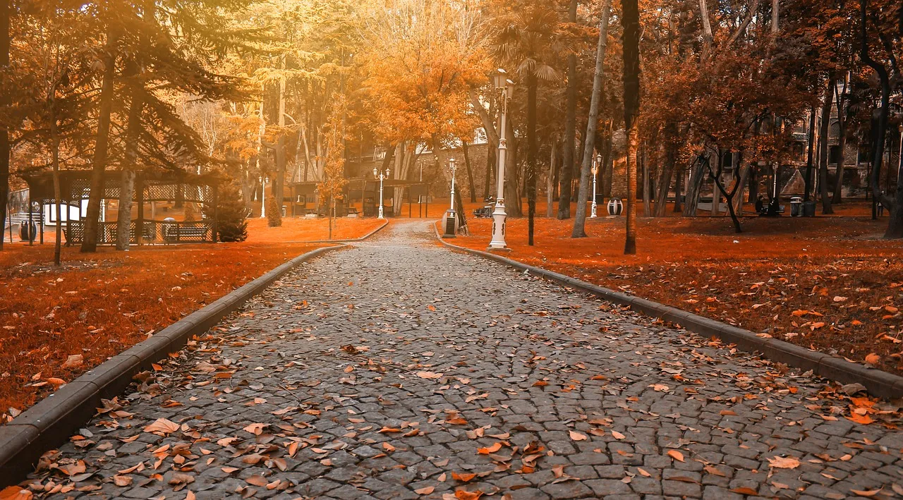 Yellow Istanbul Road Park Path - Things to Do in Turkey - Planet Travel Advisor