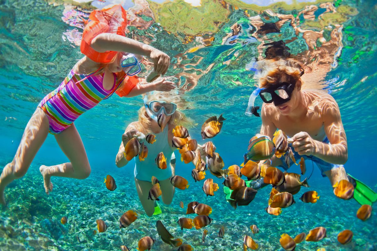 Best Things to Do in Hawaii in July - Planet Travel Advisor Best Things to Do in Hawaii in July - Planet Travel Advisor