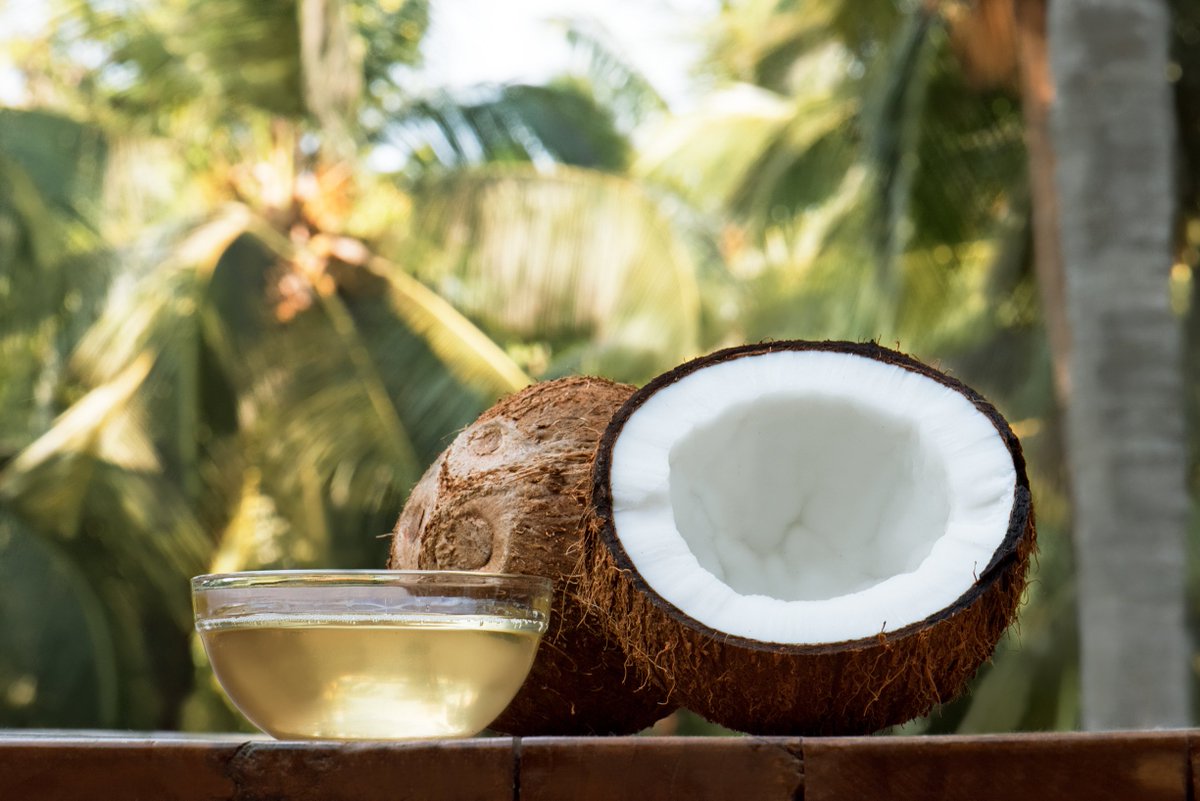 Best Things to Do in Hawaii in October - Planet Travel Advisor Best Things to Do in Hawaii in October - Planet Travel Advisor