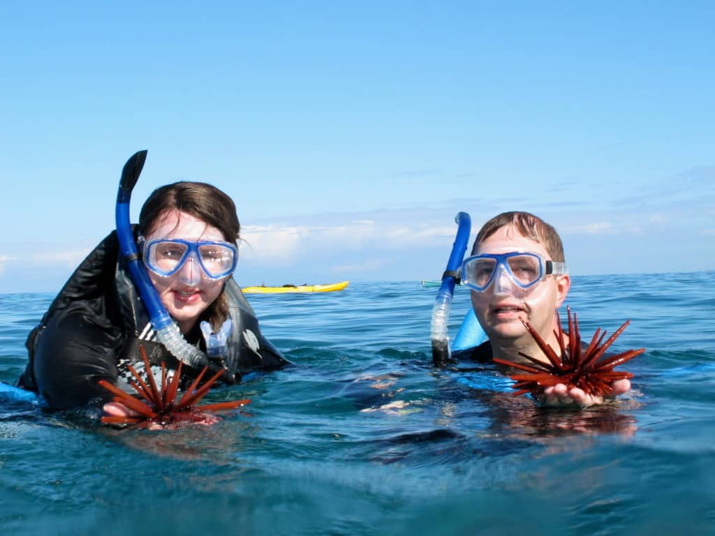 Best Things to Do in Hawaii in September - Planet Travel Advisor Best Things to Do in Hawaii in September - Planet Travel Advisor