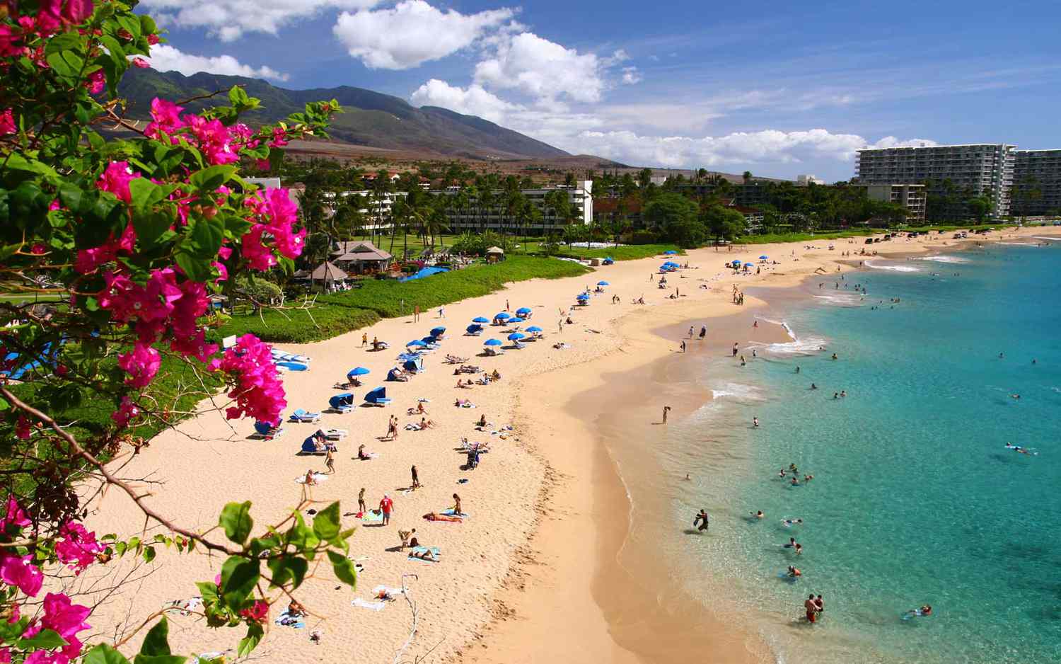 Crowds in Hawaii in February - Planet Travel Advisor Crowds in Hawaii in February - Planet Travel Advisor