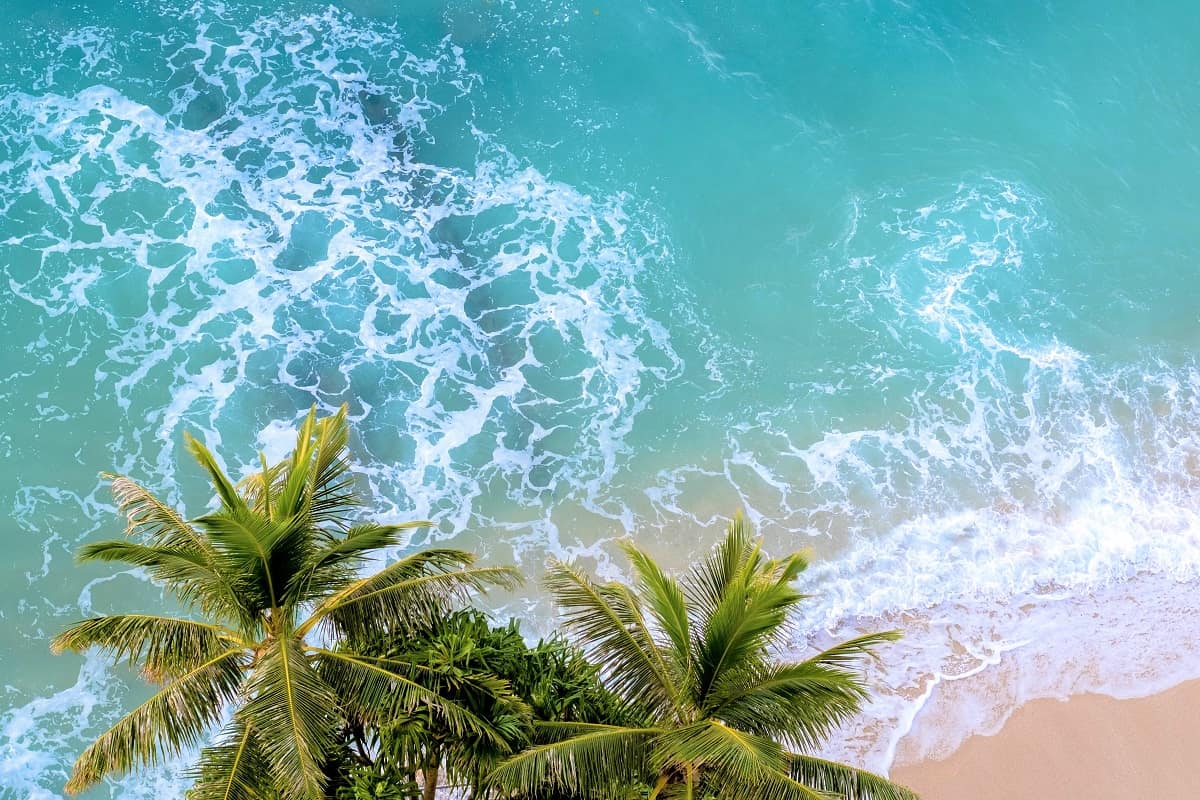 Is November Recommended to Visit Hawaii - Planet Travel Advisor Is November Recommended to Visit Hawaii - Planet Travel Advisor