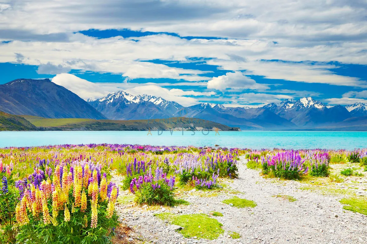 Lake Tekapo, Southern Alps, New Zealand - Best Countries to Visit - Planet Travel Advisor