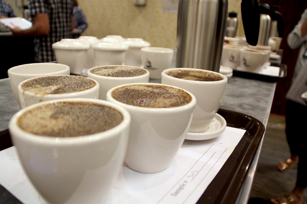 Coffee Tasting (Kona Coffee Cultural Festival) - Hawaii Weather in October - Planet Travel Advisor