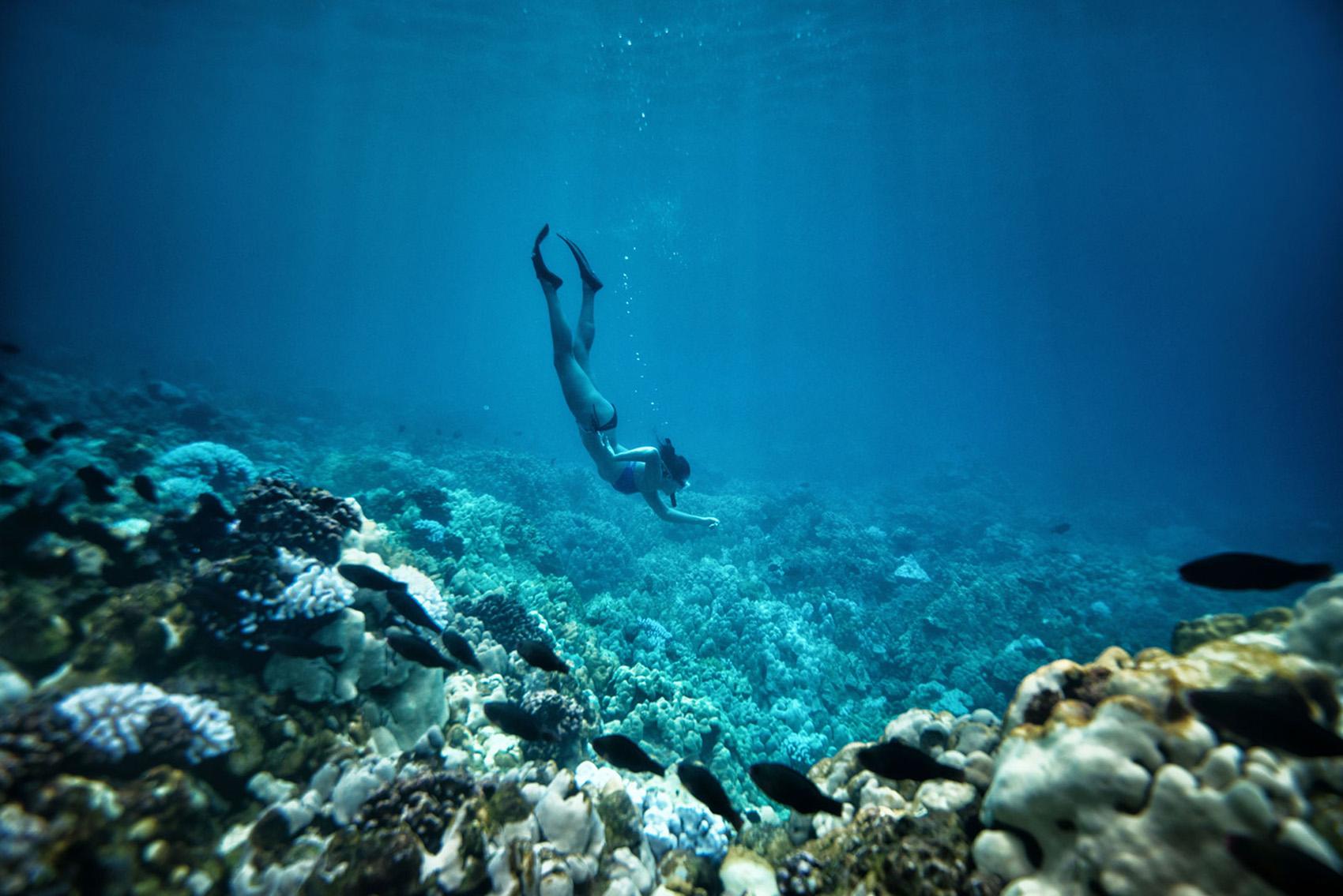 Snorkeling and Scuba Diving - Hawaii Weather in October - Planet Travel Advisor