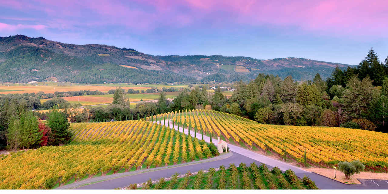 California's Napa and Sonoma Valleys - Top-Rated Attractions & Things to Do in USA - Planet Travel Advisor