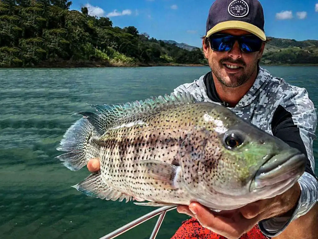 Deep Dropping for Grouper in Costa Rica