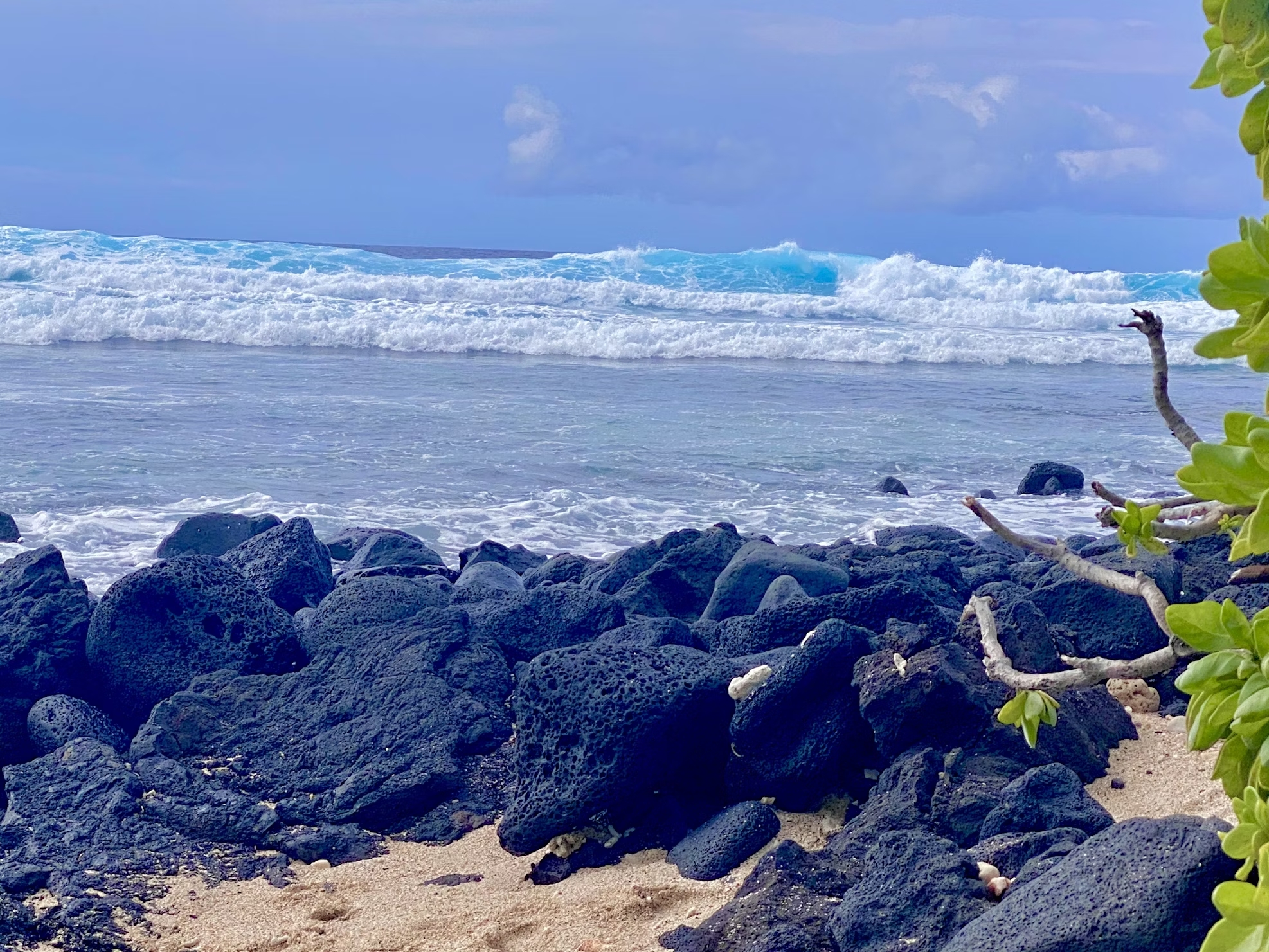 Best Beaches In Kona