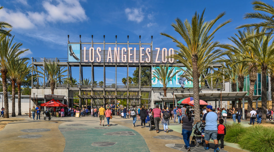 Los Angeles Zoo - Top-Rated Attractions & Things to Do in USA - Planet Travel Advisor