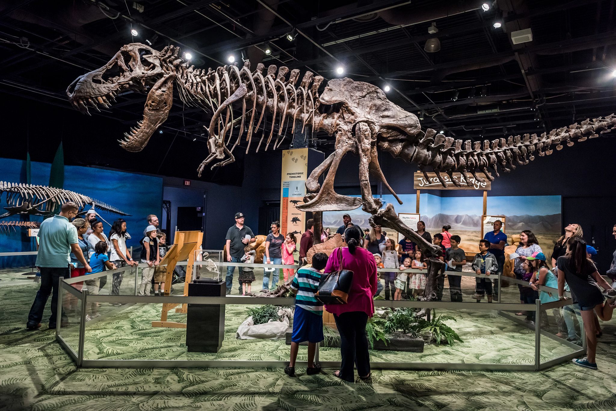 Orlando Scientific Center - Top-Rated Attractions & Things to Do in USA - Planet Travel Advisor