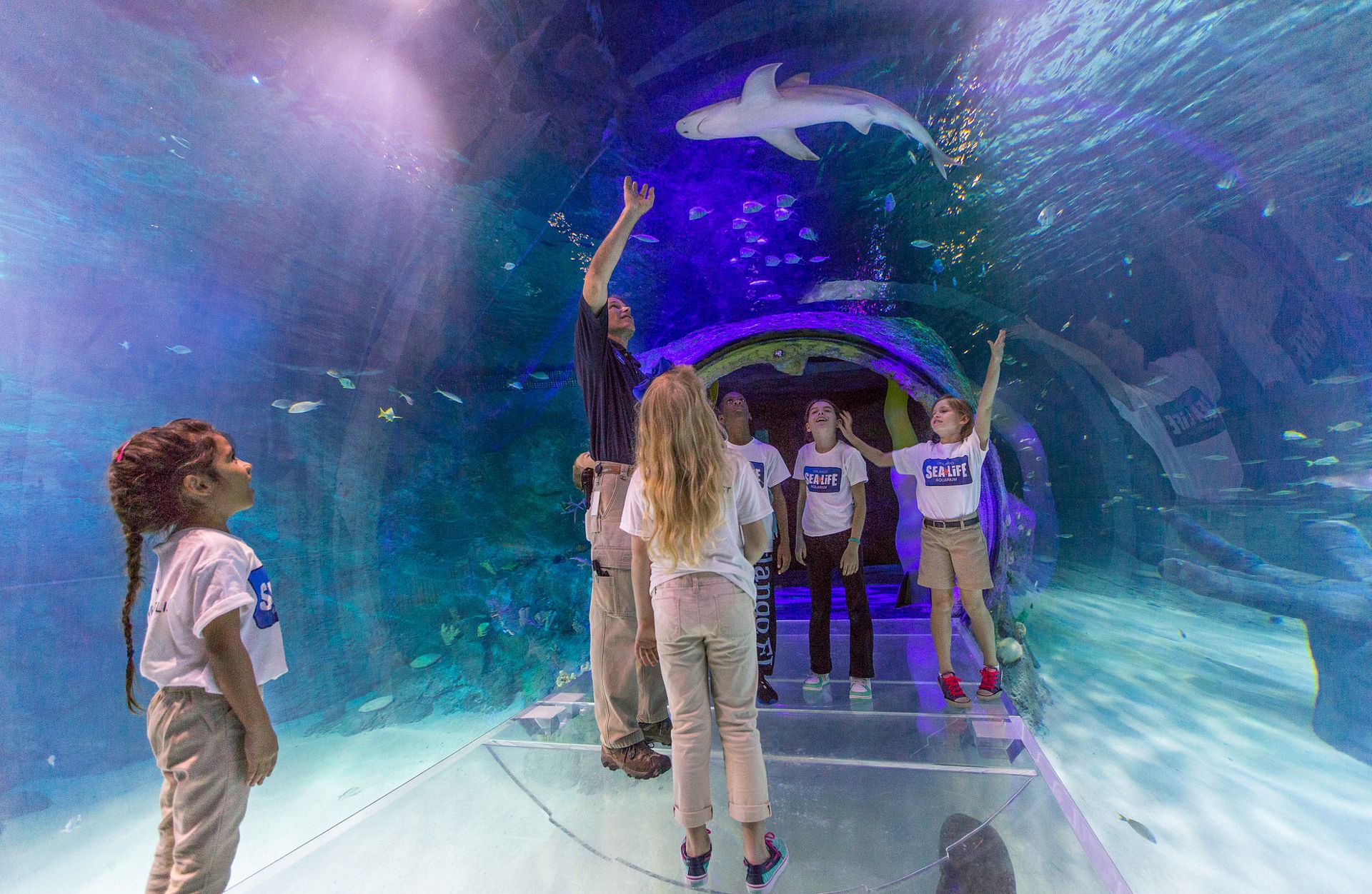 SEA LIFE Orlando Aquarium - Top-Rated Attractions & Things to Do in USA - Planet Travel Advisor