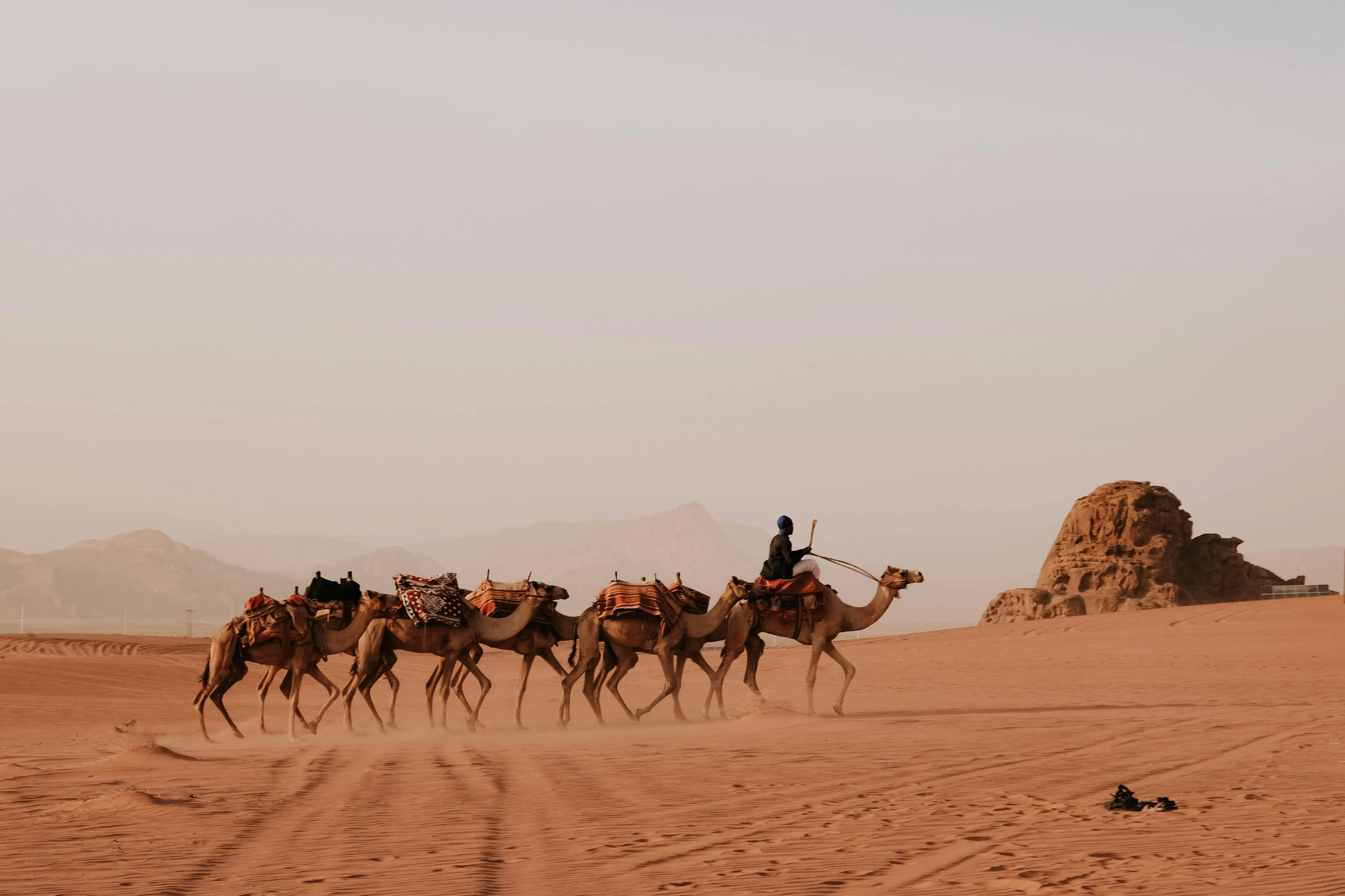 4 Days Jordan South Tour from Araba Border