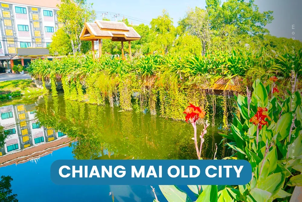Chiang Mai Old City - Worst Time to Visit Thailand