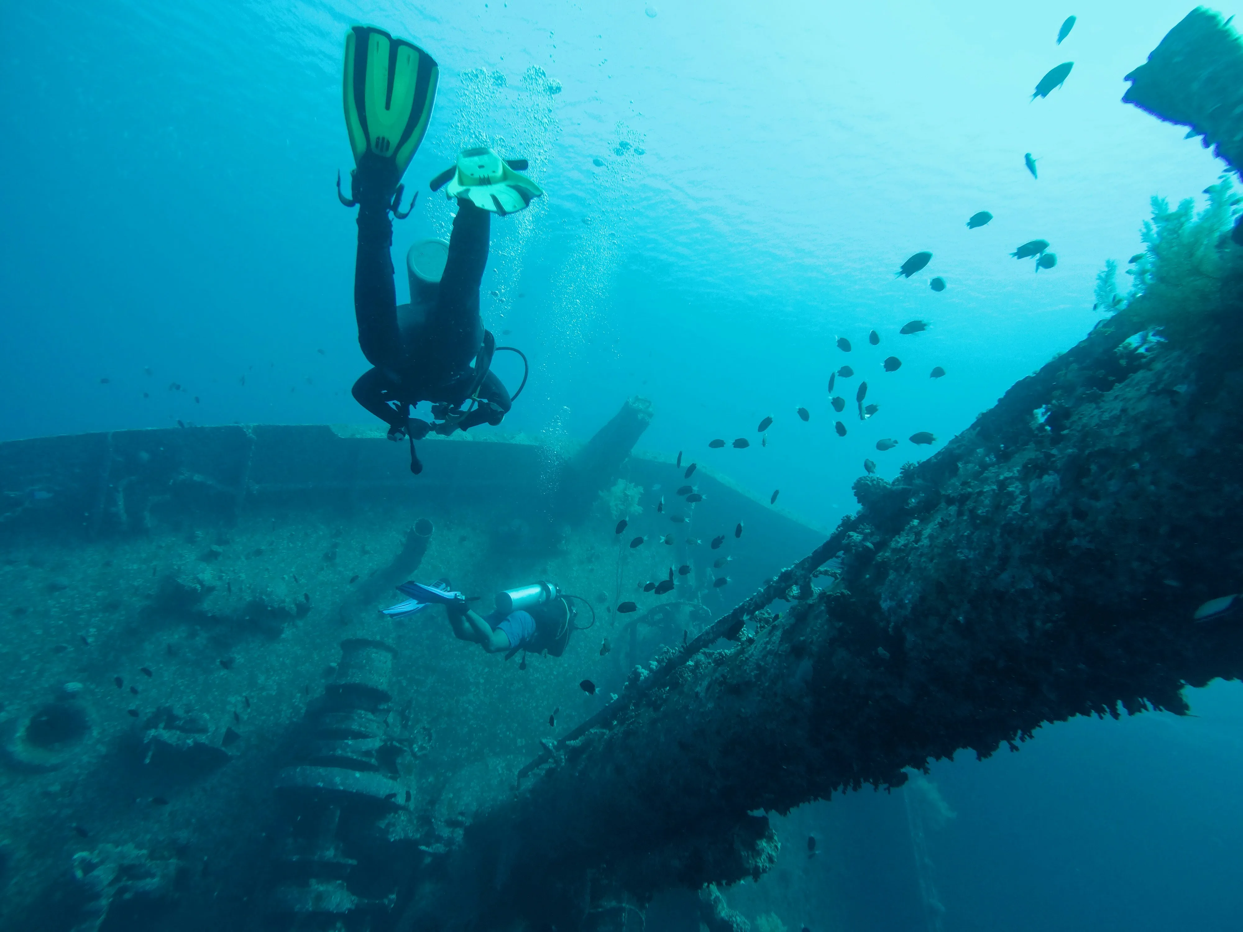 Diving in Aqaba - Planet Travel Advisor