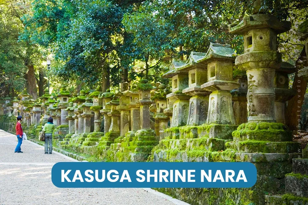 Kasuga Shrine Nara - Worst Time to Visit Japan