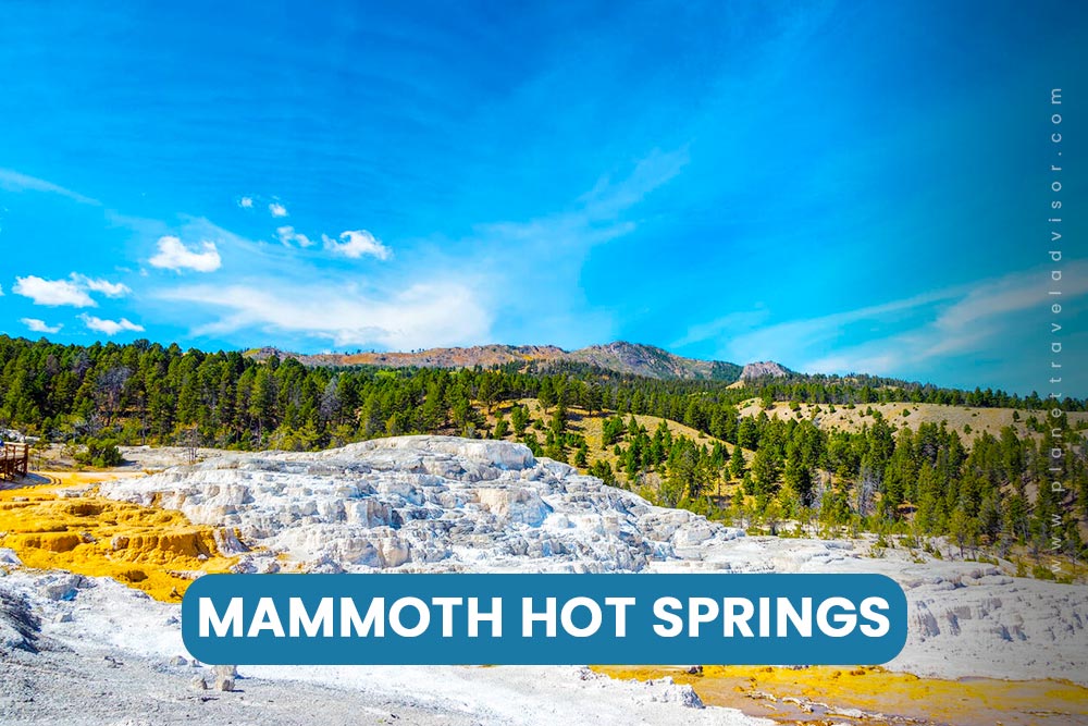 Mammoth Hot Springs - Worst Time to Visit Yellowstone National Park Mammoth Hot Springs - Worst Time to Visit Yellowstone National Park