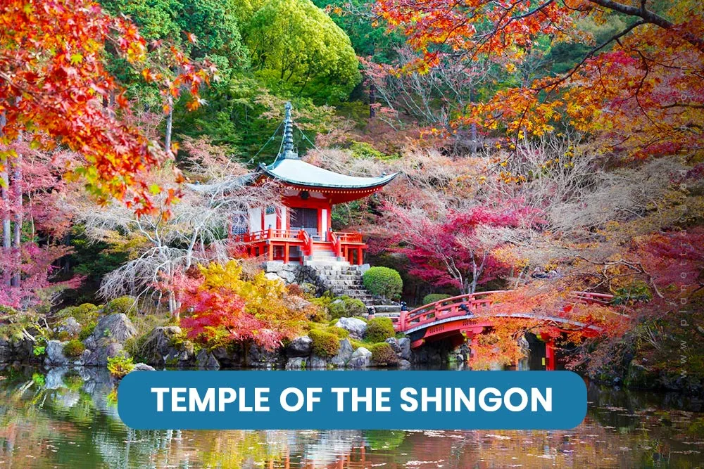 Temple of the Shingon, Kyoto - Worst Time to Visit Japan