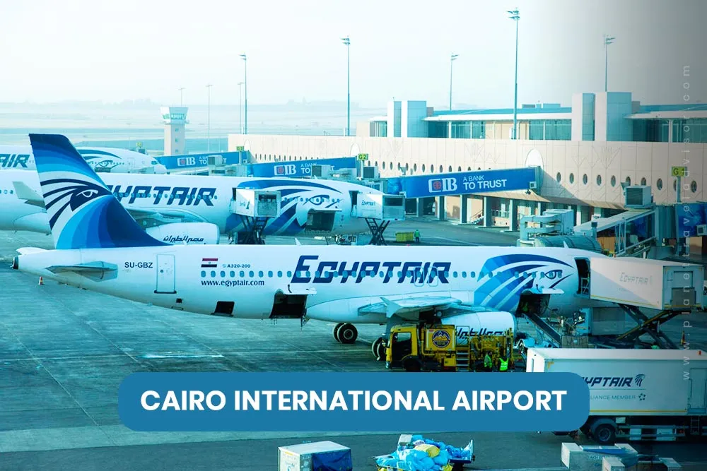 Cairo International Airport - Worst Time to Visit Egypt