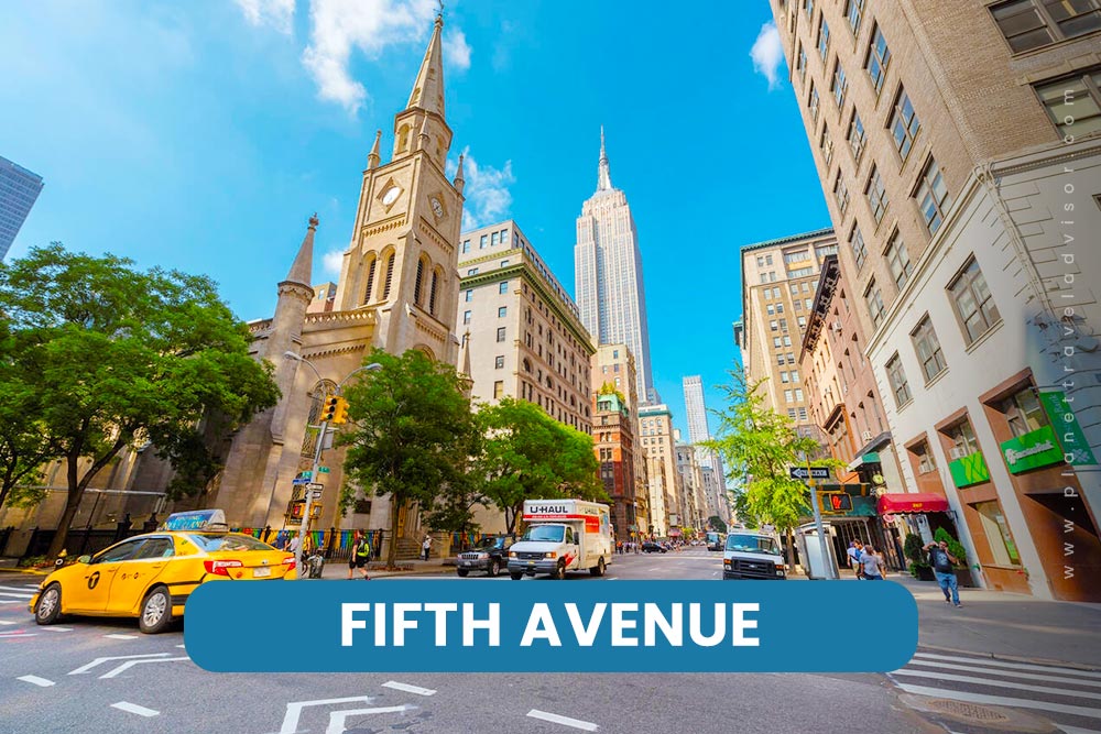 Fifth Avenue - Worst Time to Visit New York Fifth Avenue - Worst Time to Visit New York