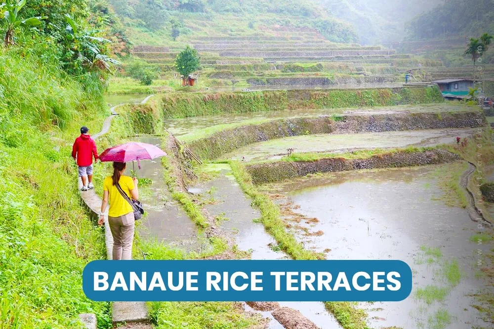 Banaue Rice Terraces - Worst Time to Visit Philippines