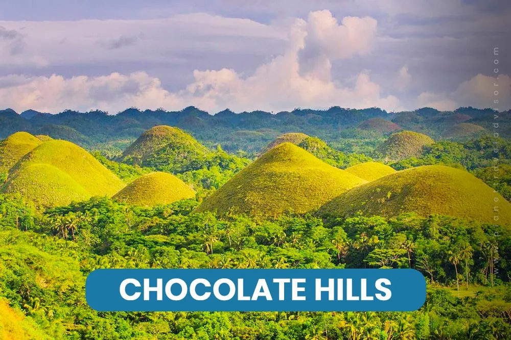 Chocolate Hills - Worst Time to Visit Philippines