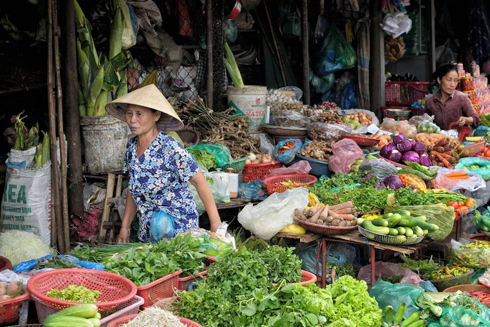 9 Day Vietnam Itinerary with Top Highlights