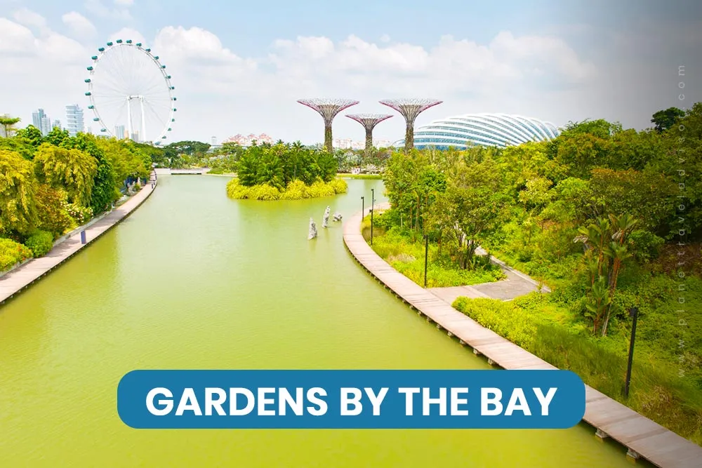 Gardens by the Bay - Worst Time to Visit Singapore
