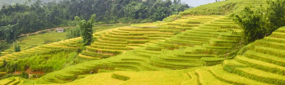 Lao Cai Itinerary - Planet Travel Advisor