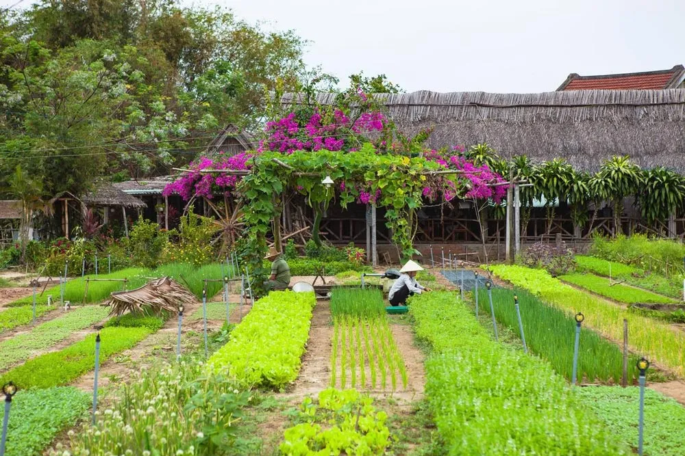 Vietnam Vacation Highlights in 10 Days