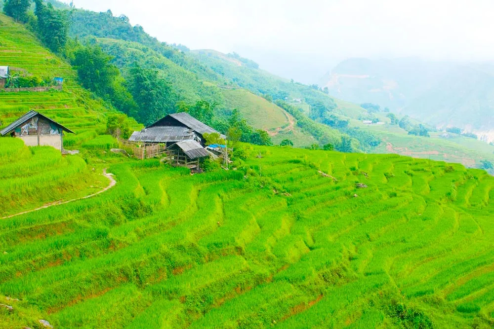 15 Days Impressive Vietnam Trip Package