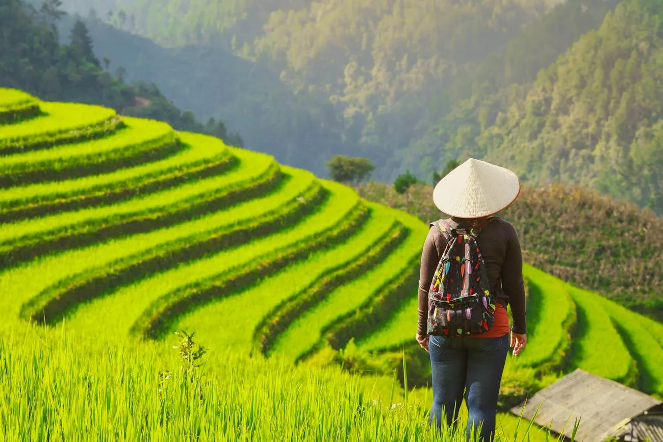 14 Days Hanoi Hue Hoi An Mekong Saigon Tour