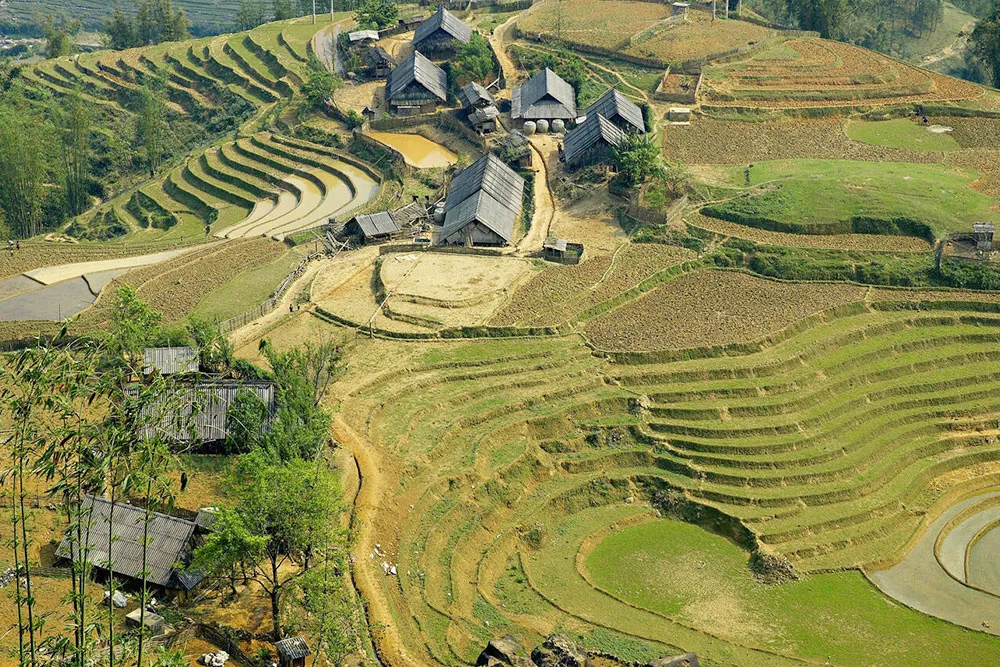 Black Hmong Village and Rice Field - Planet Travel Advisor