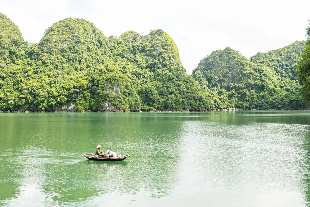 Cat Ba National Park - Planet Travel Advisor