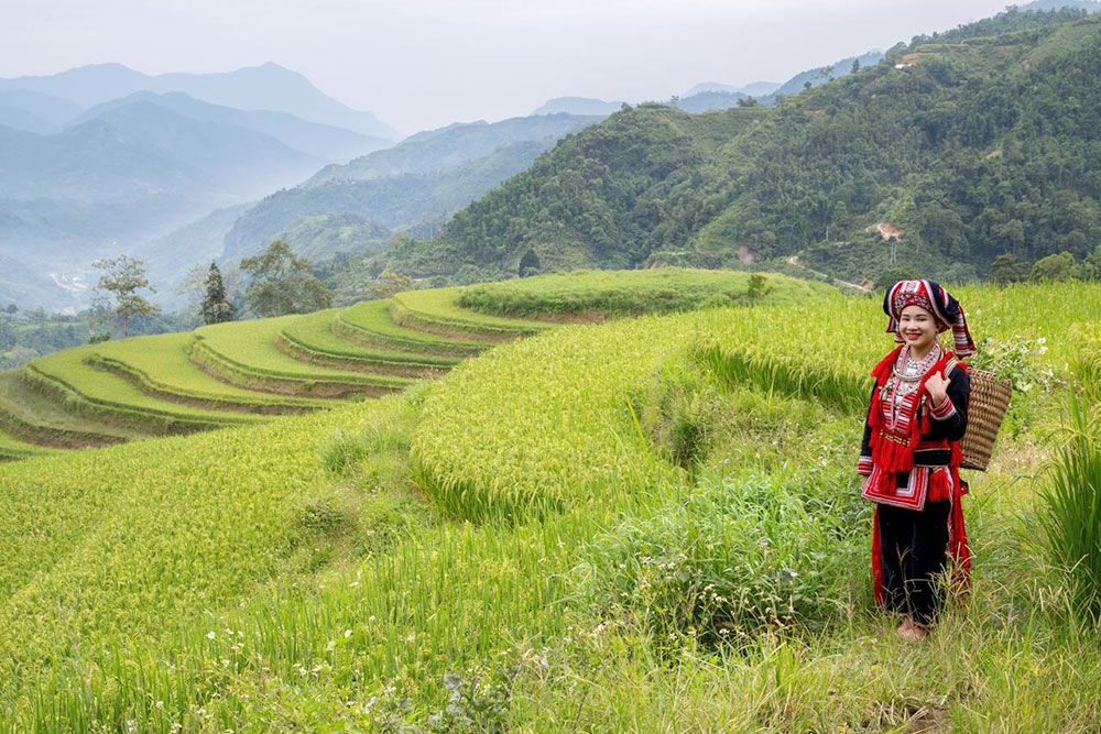 Ethnic Red Dao Woman - Planet Travel Advisor Ethnic Red Dao Woman - Planet Travel Advisor