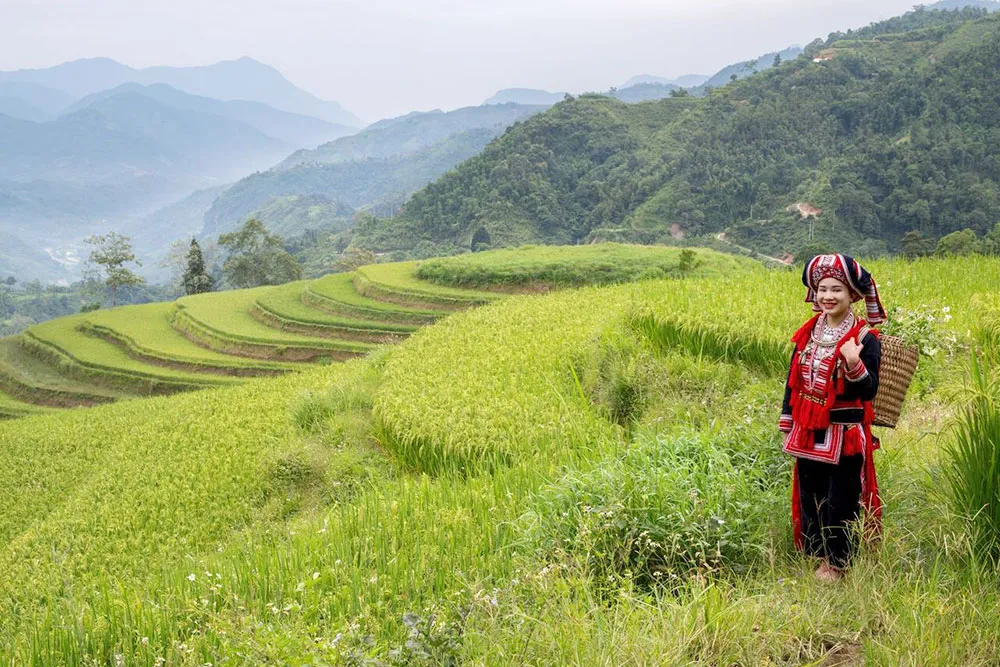 Ethnic Red Dao Woman - Planet Travel Advisor