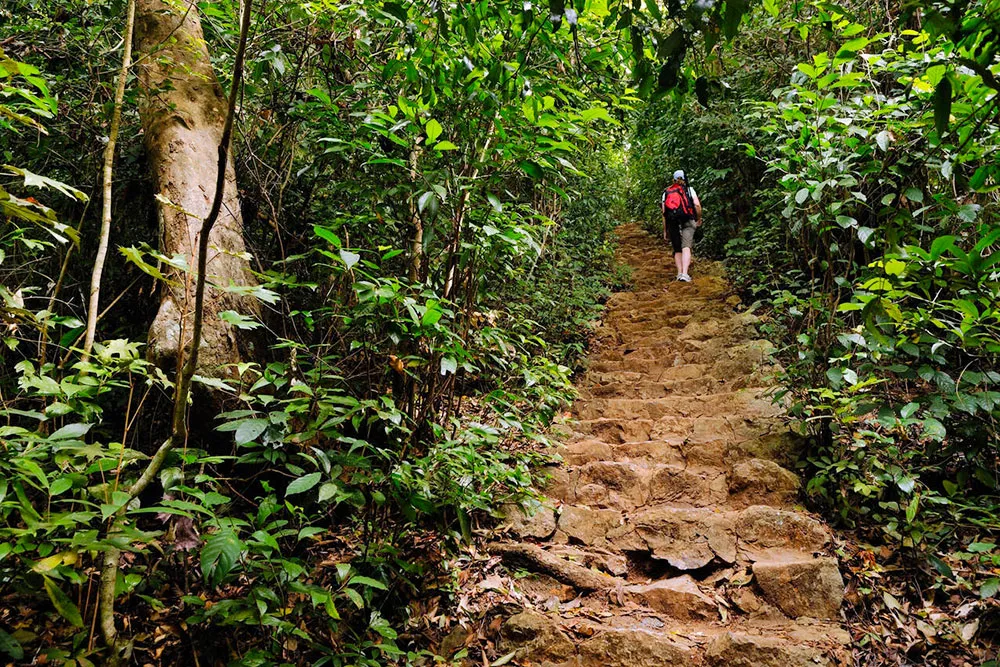 Hiking in Cat Ba National Park - Planet Travel Advisor