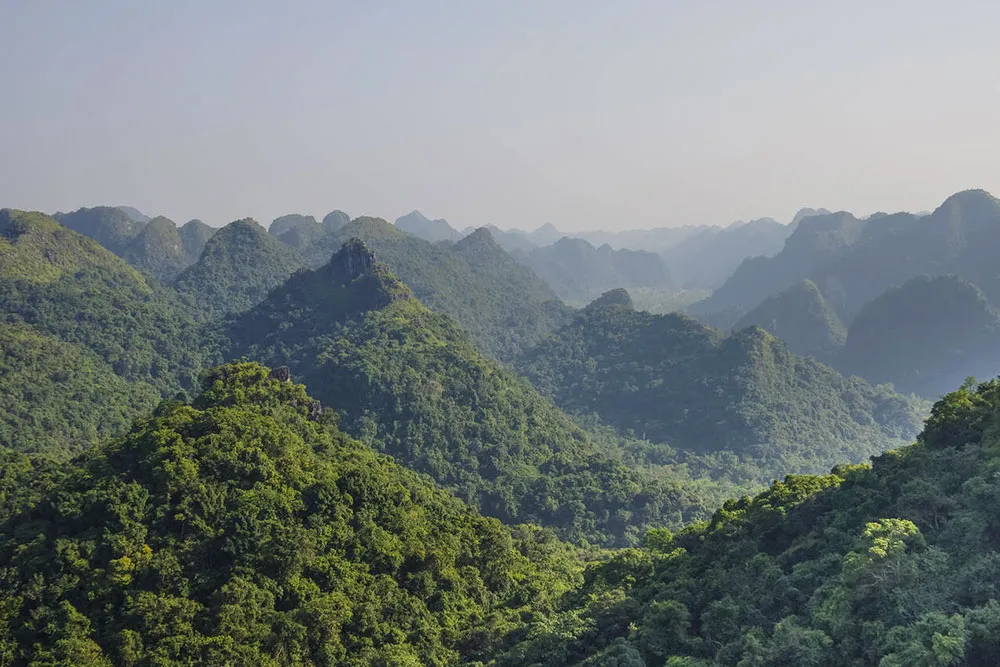 Panorama of Cat Ba National Park - Planet Travel Advisor