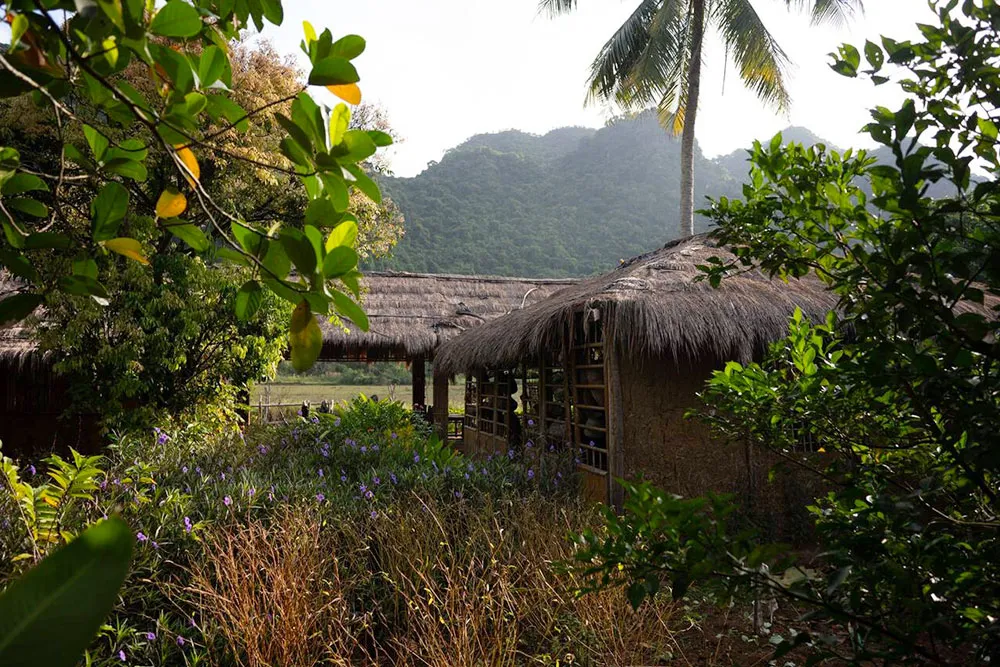 Residential House in Viet Hai Village - Planet Travel Advisor