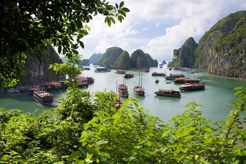 View From Hang Sung Sot Cave - Planet Travel Advisor