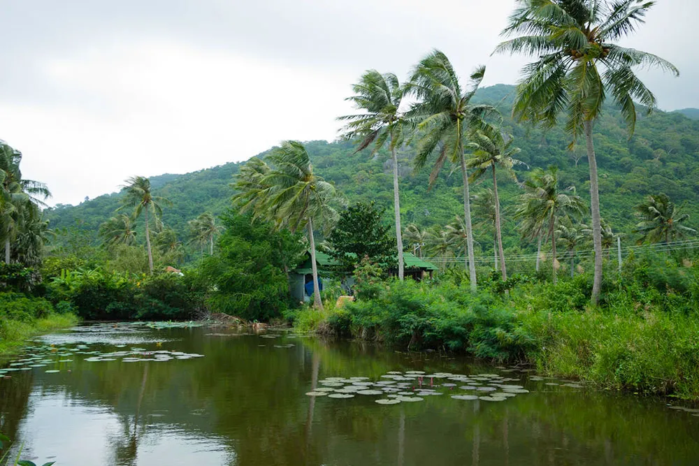 Con Dao National Park - Planet Travel Advisor